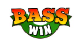 Basswin Casino with Top Games
